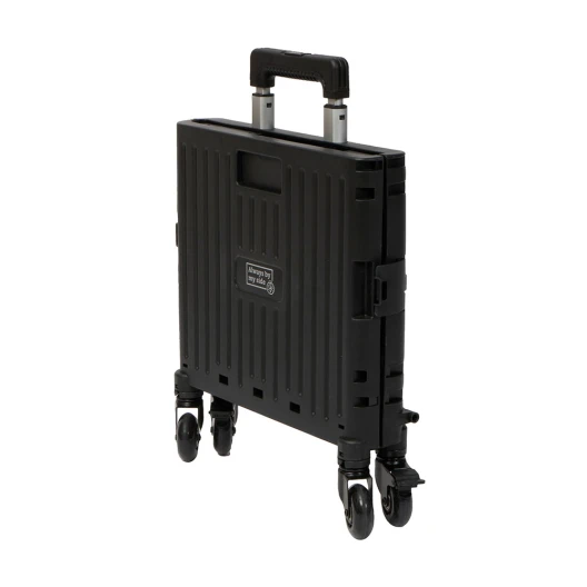 Foldable and portable trolley