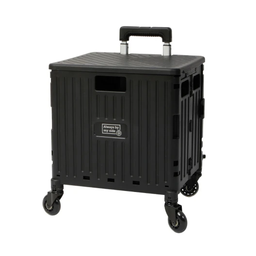 Foldable and portable trolley