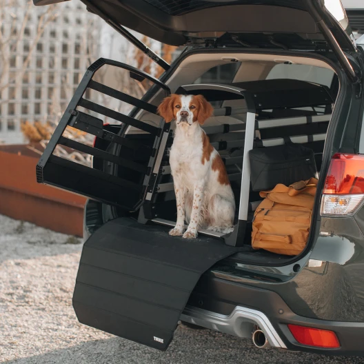 Box per cani Thule Allax M