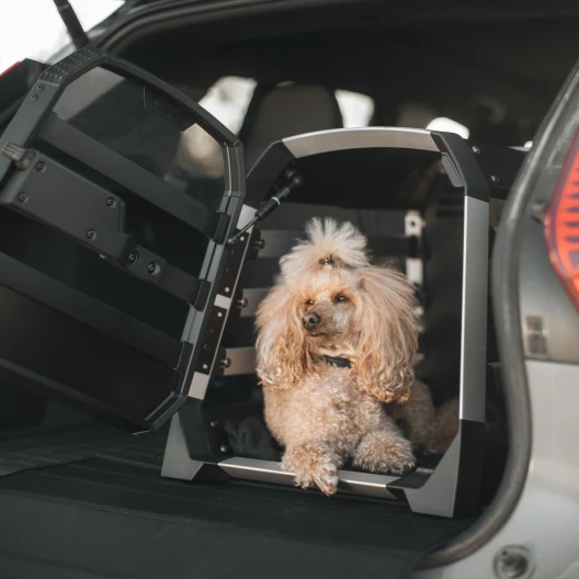 Box per cani Thule Allax M