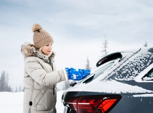 Arctic-is Glove Ice Scraper