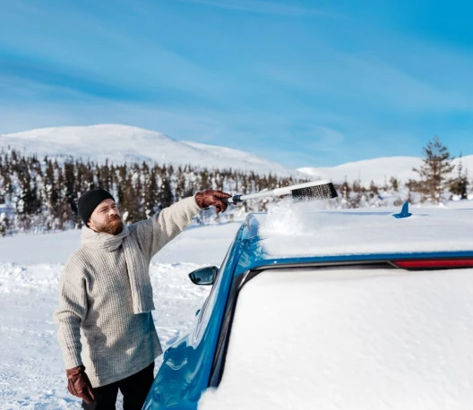 Spazzola per neve con manico telescopico
