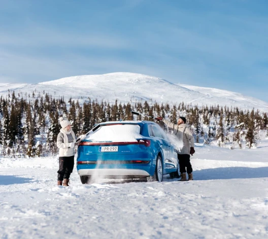 Spazzola per neve con manico telescopico