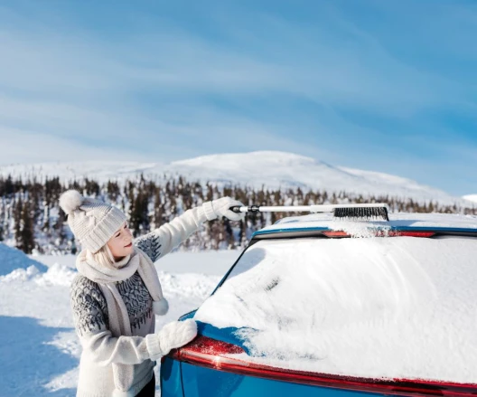 Spazzola per neve con manico telescopico