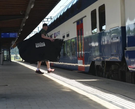 Velotransport-Tasche bis 29"