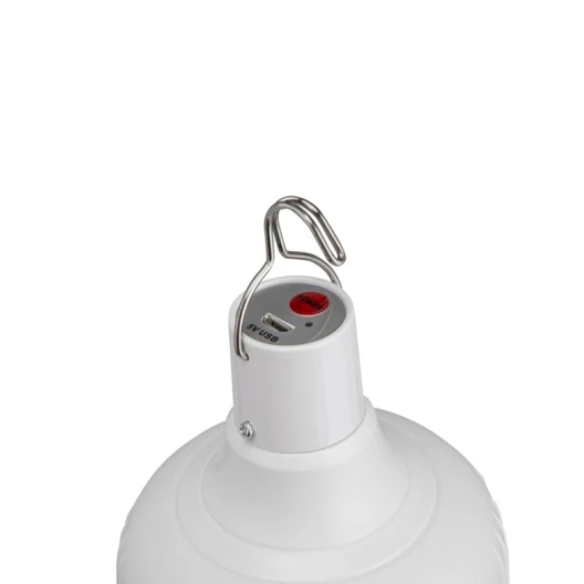 LED Lampe Globe